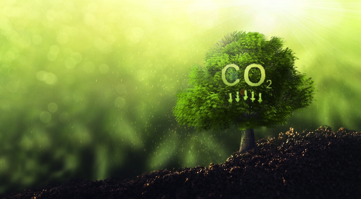 Emission Reduction